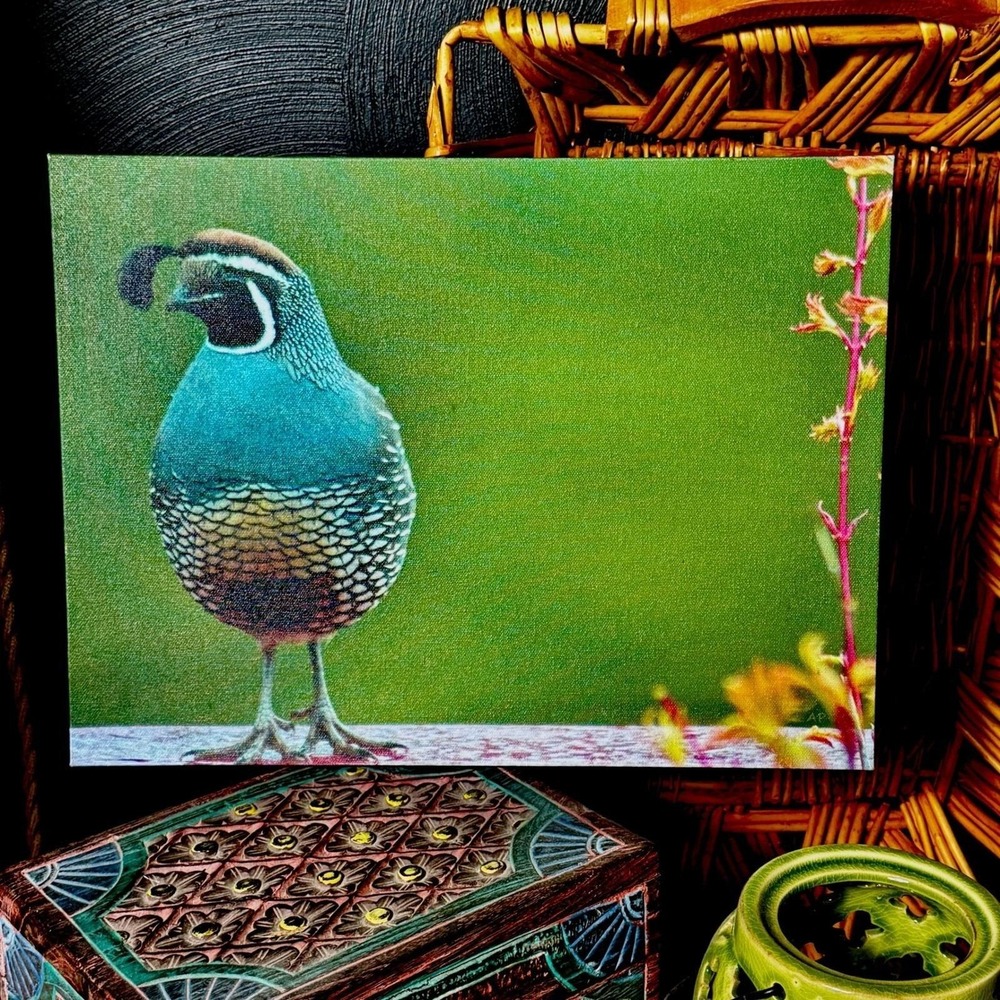 Quail Bird Canvas Print Wildlife Nature Wall Art Green Tropical Beach Vacation